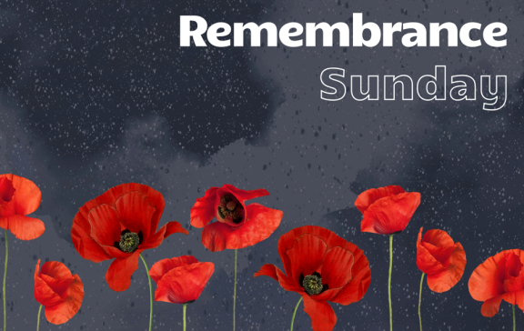 Image of red poppys with a dark grey background 