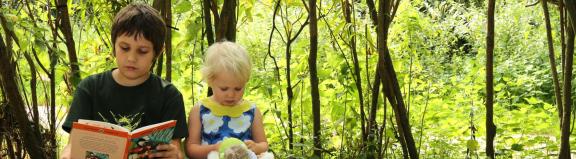 Children reading in woodland