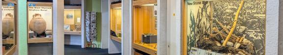 Display cases in Thurrock Museum