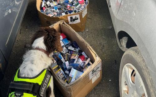 Billy the tobacco detecting dog with illegal tobacco and vapes seized from Shelbys