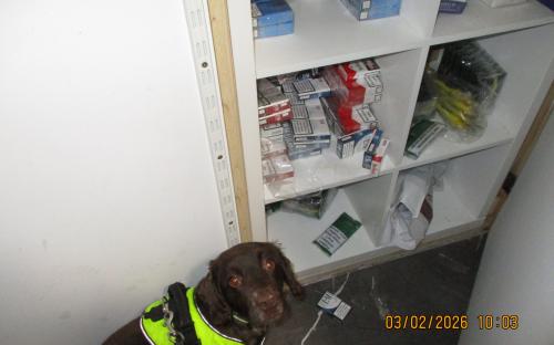 Tobacco detection dog, Dora