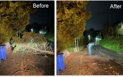 Storm Bert - Tree Cleared