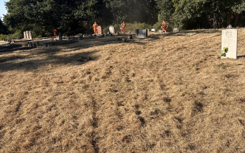 Grounds maintenance and grass cutting at Grays New Cemetery