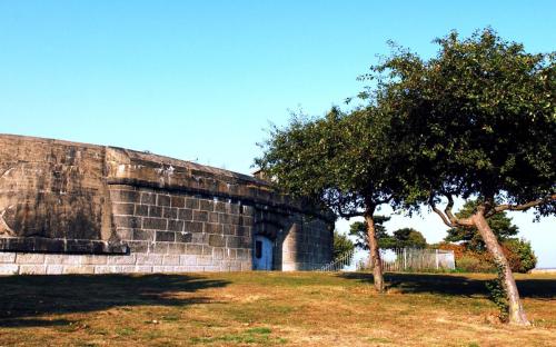 Coalhouse Fort and tree