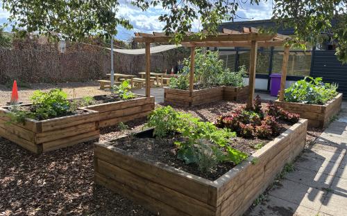 Flower beds in Chadwell Garden