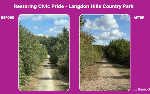 before and after picture of a pathway   