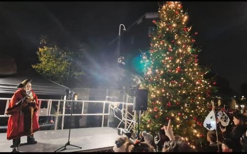 Mayor of Thurrock officially switched on the Christmas lights