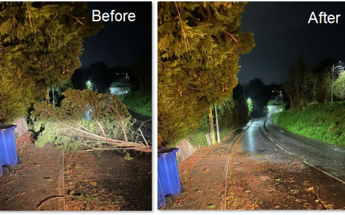 Storm Bert - Tree Cleared